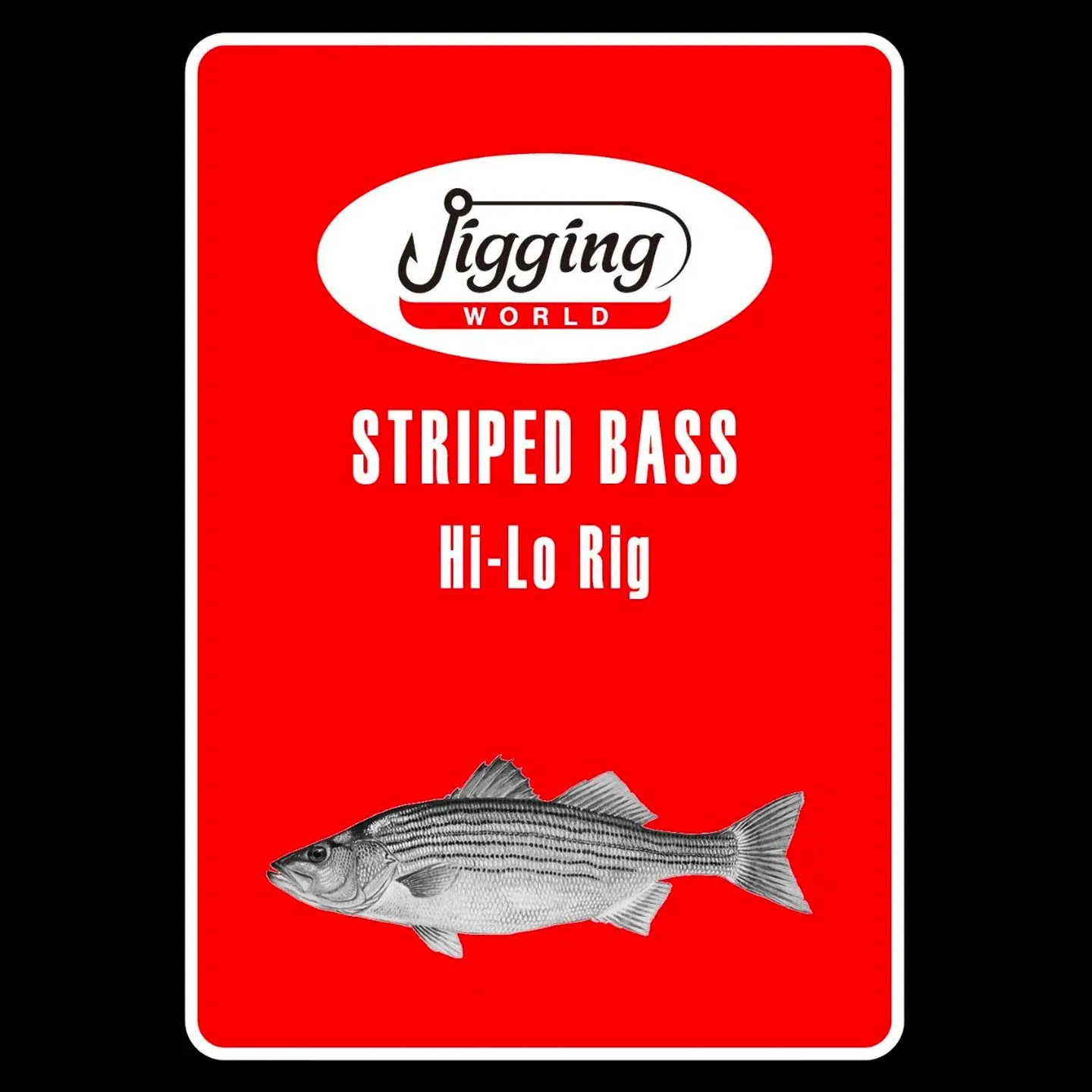Jigging World Striper Bass Hi-lo Rig