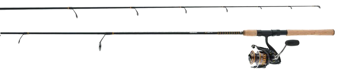 Daiwa BG Spinning Combo