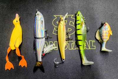 Pike Performance Kit