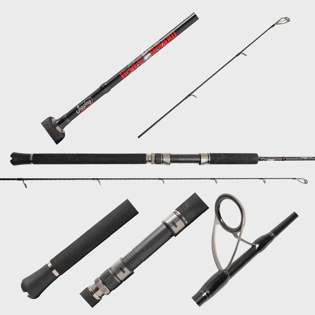 Black Widow 2.0 Inshore Spinning