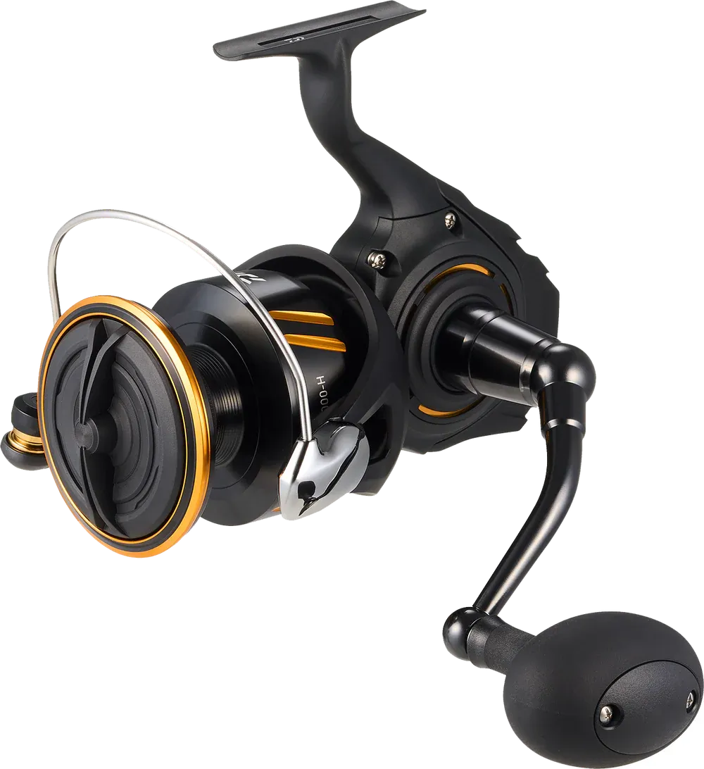 Daiwa BG SW