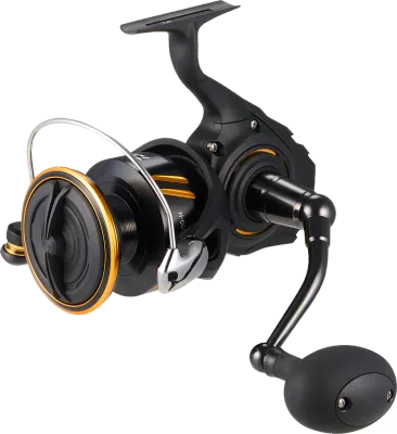 Daiwa BG SW