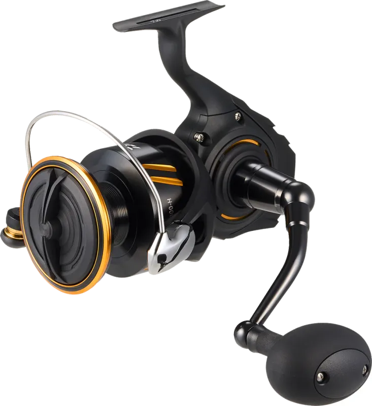 Daiwa BG SW