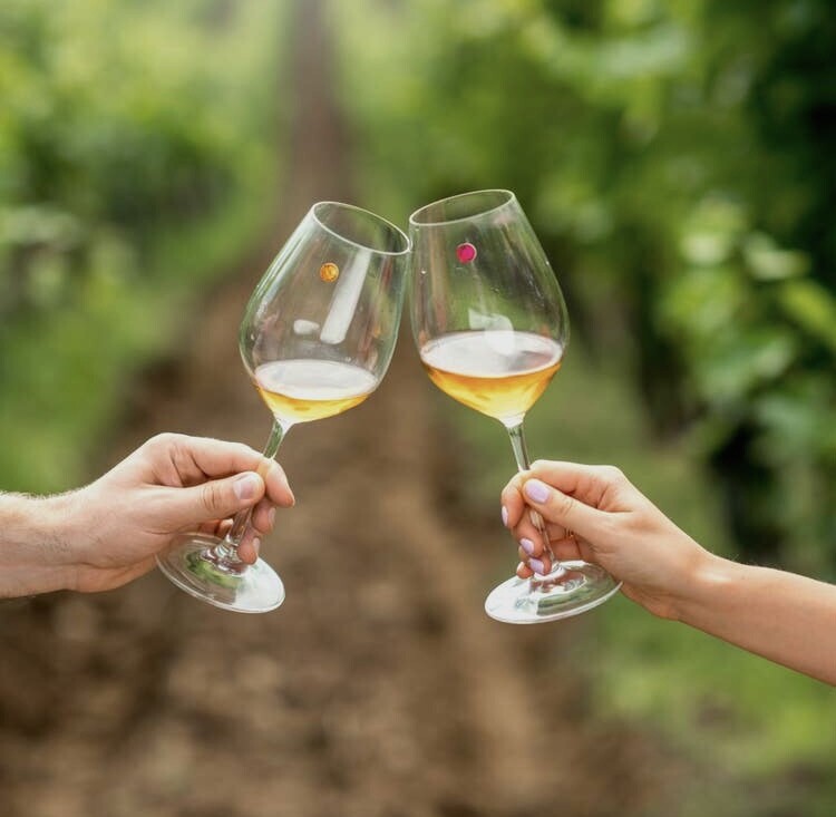 Cheers Charms