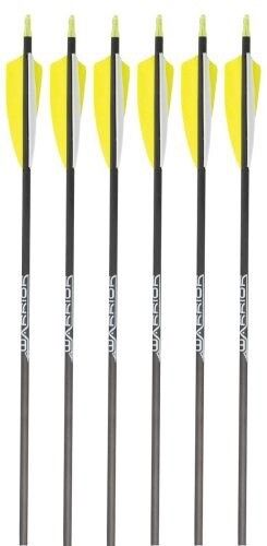 Gold Tip Warrior Fletched Arrows x 6 (Vanes)