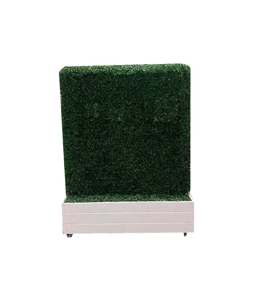 4x4 Green Hedge Wall