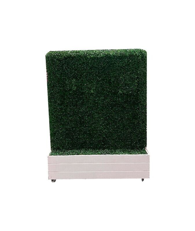 4x4 Green Hedge Wall