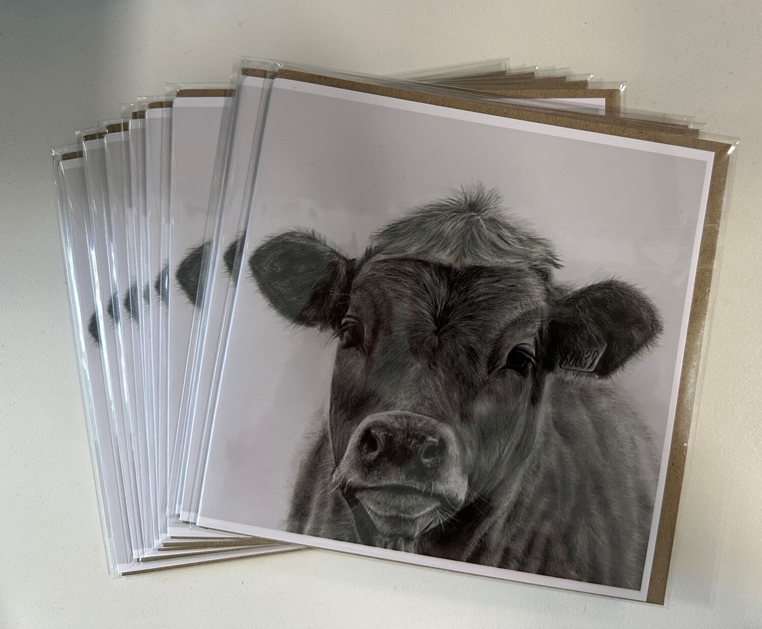 Printed Square Card - Design Cow titled &quot;Grazing&quot;