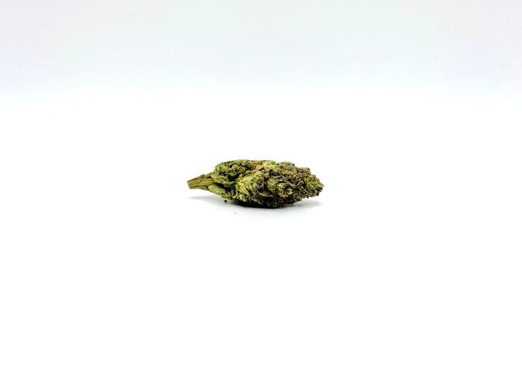 THCA - Mid Flower - Gelato Mintz