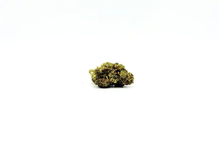 THCA - Mid Flower - Hash Burger