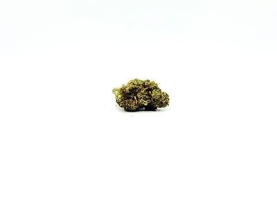 THCA - Mid Flower - Hash Burger