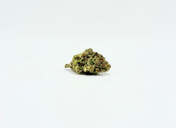 THCA - Mid Flower - Lobster Butter