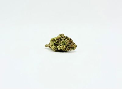 THCA - Mid Flower - Lobster Butter