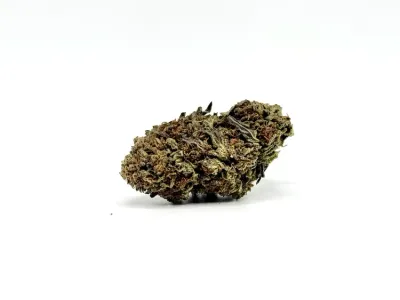 THCA - Mid Flower - Pineapple Punch