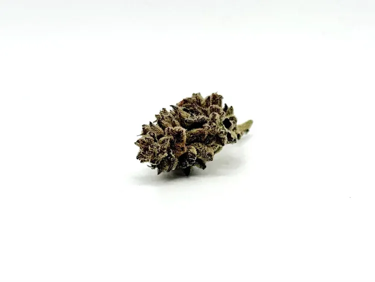 THCA - Mid Flower - Venom OG