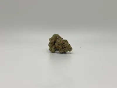 THCA - Exotic Flower - Mimosa