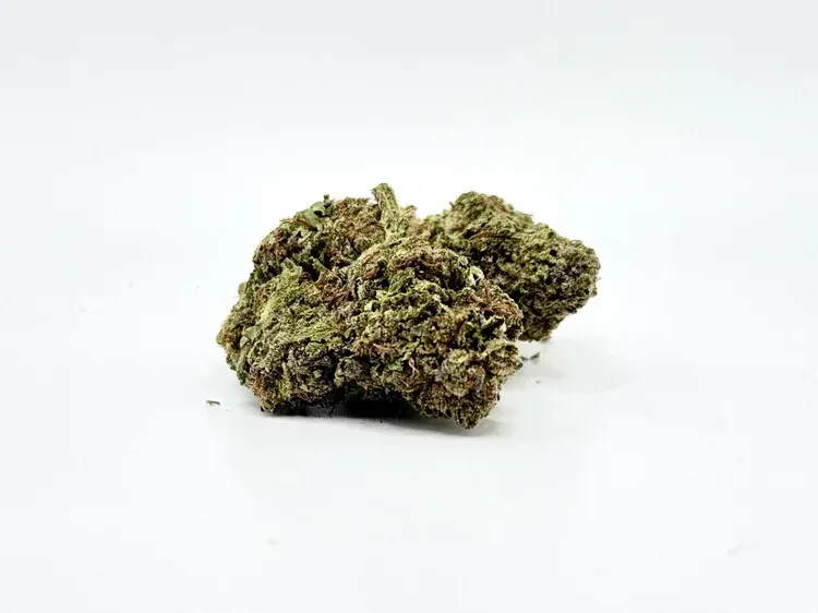 THCA - Mid - Flower - Gello Shotz