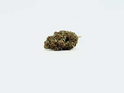 THCA - Small Flower - Gelato 41