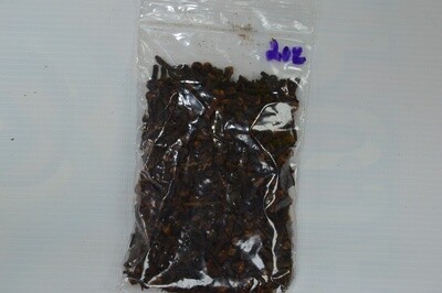 Clove