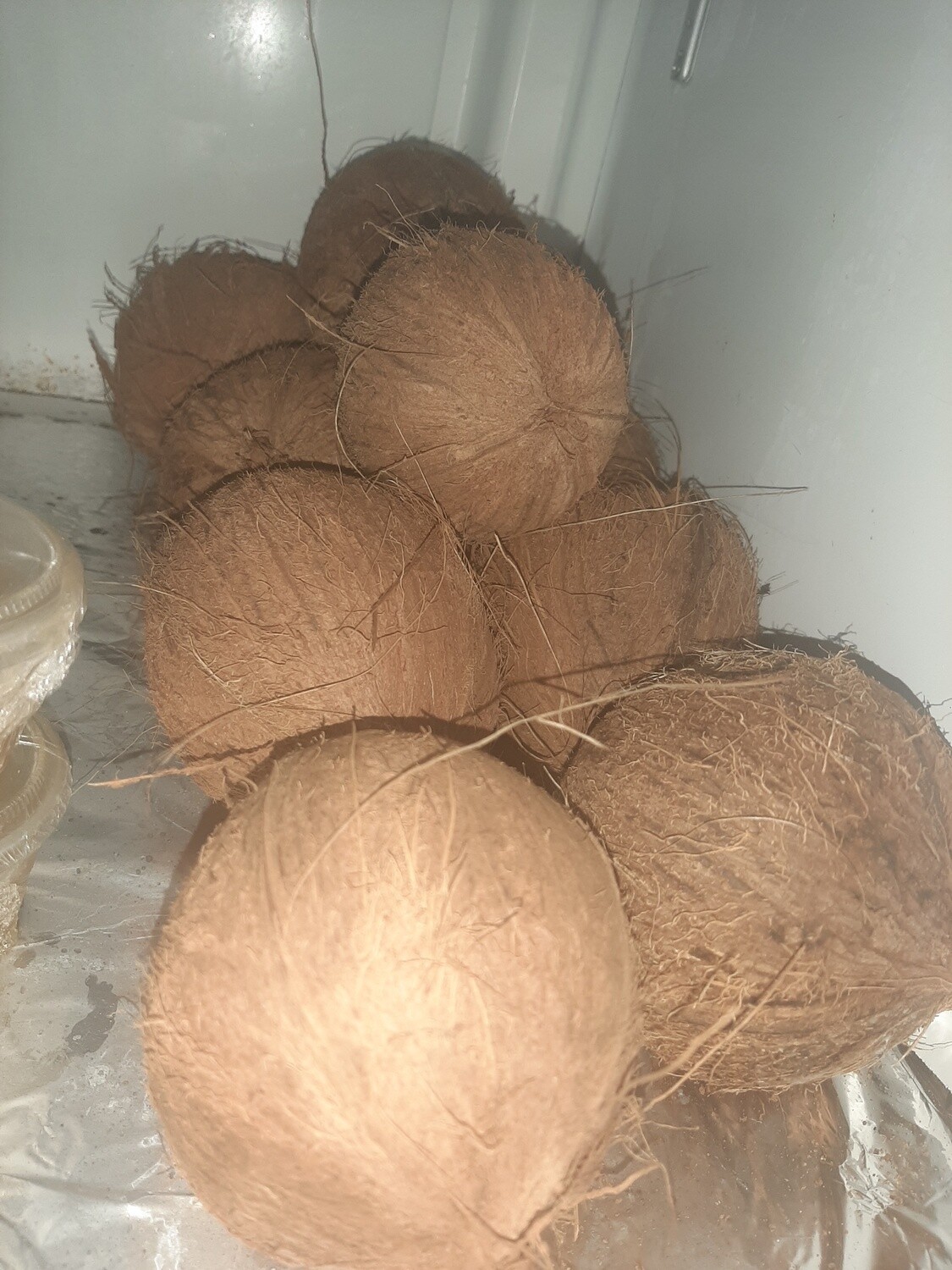 Coconuts