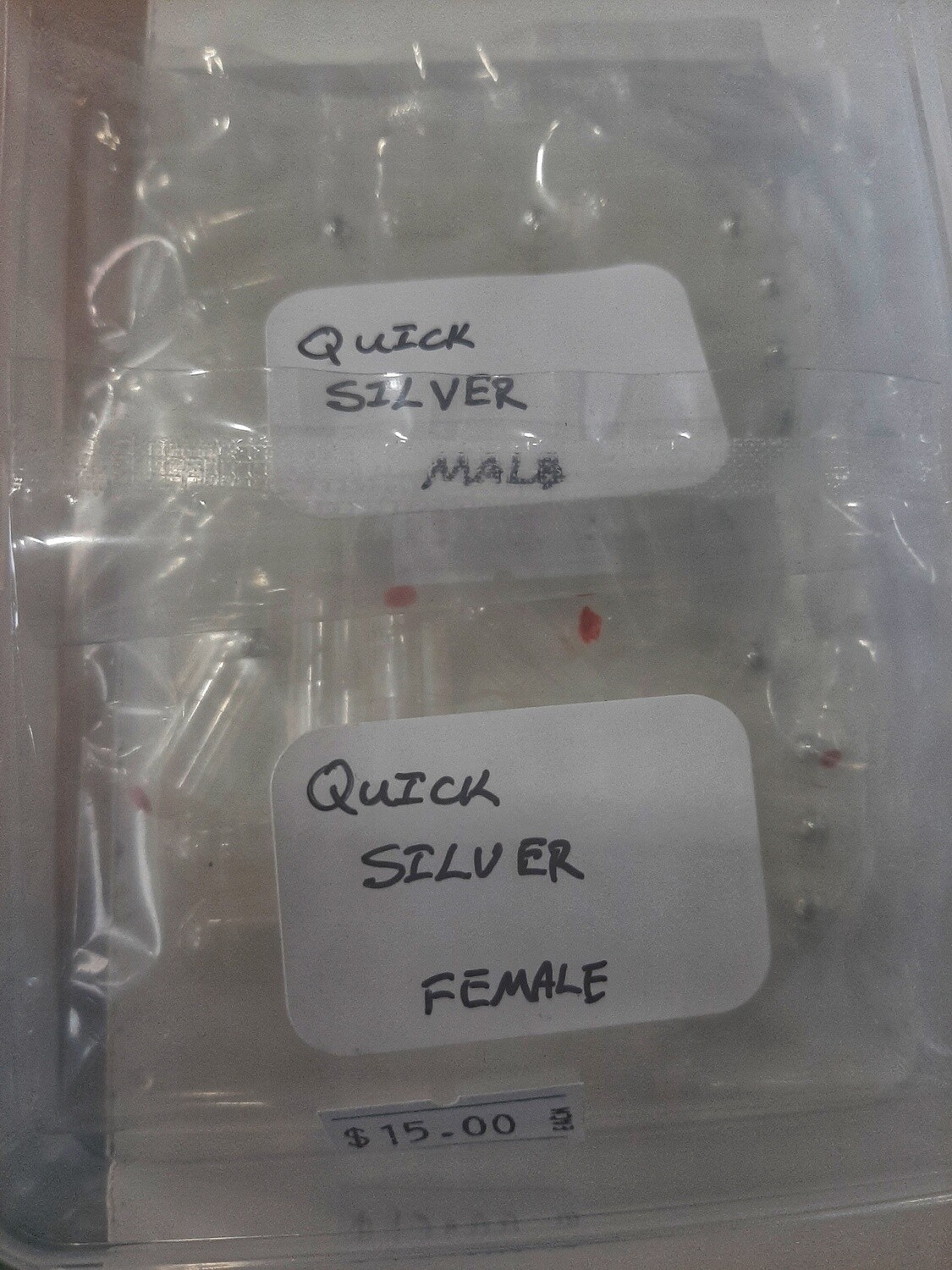 Quick Silver
