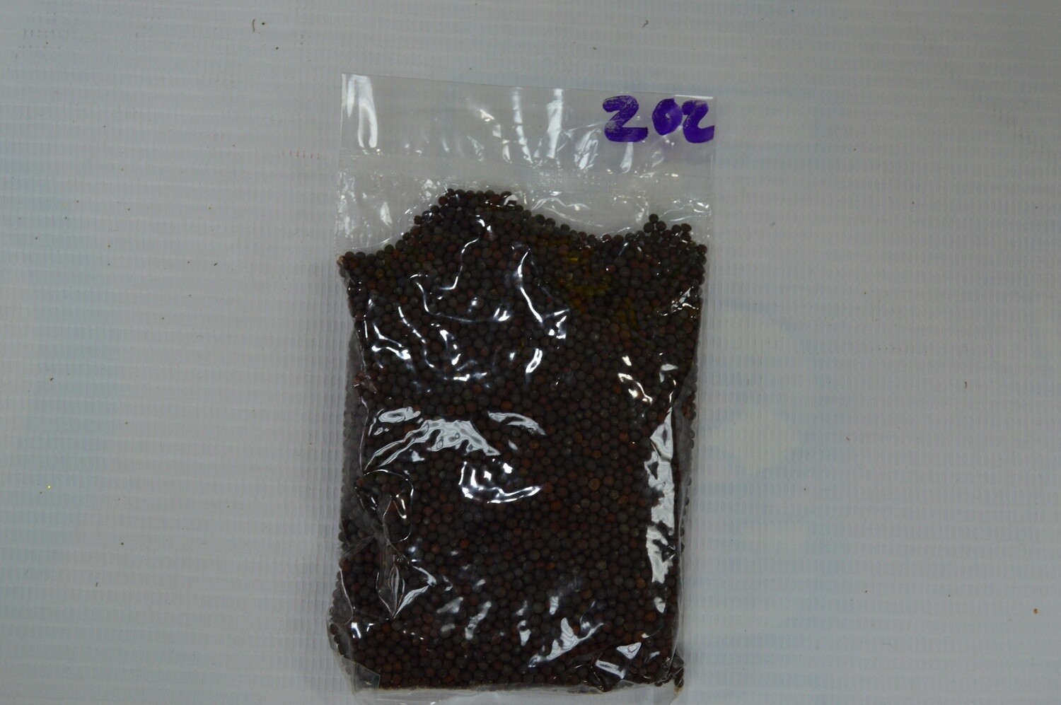 Mustard Seed