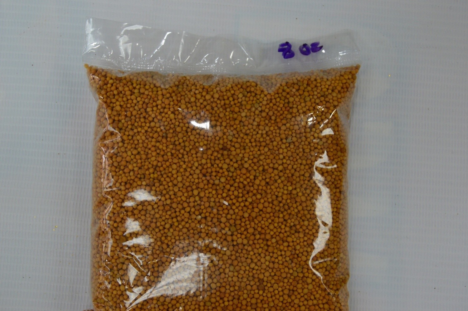 Mustard Seed