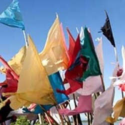 Plain Flags