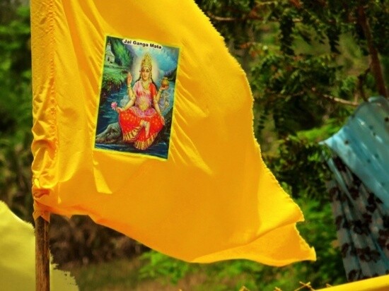 Printed Flags