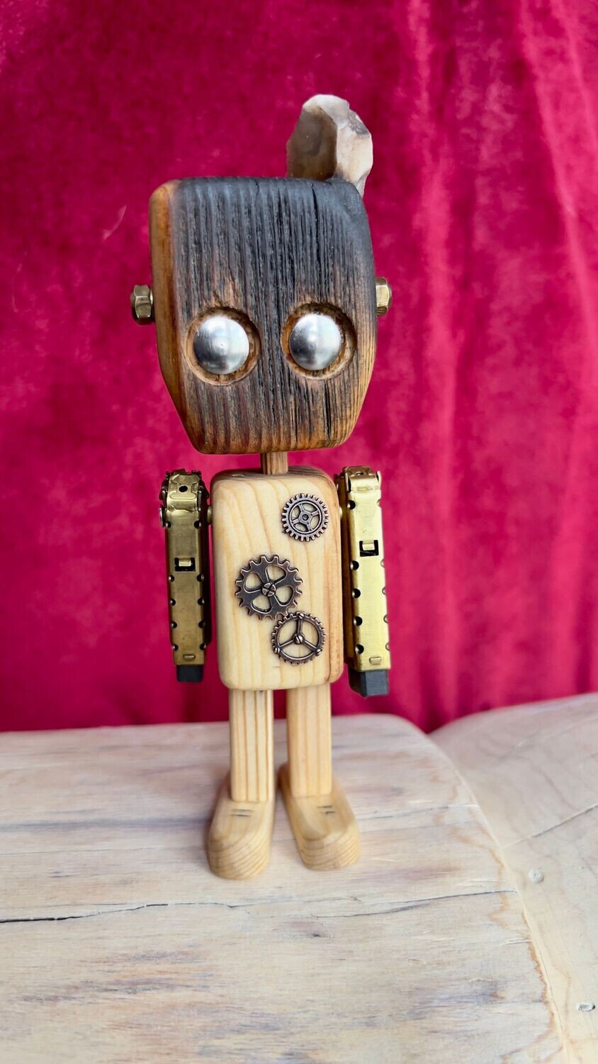 Ecorobot #12