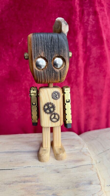 Ecorobot #12