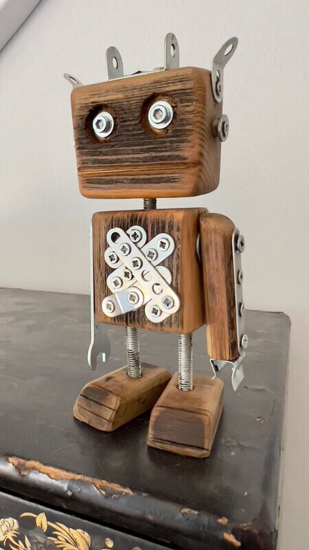 Ecorobot #6