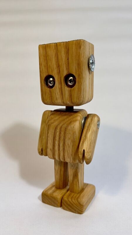 Ecorobot nº 14