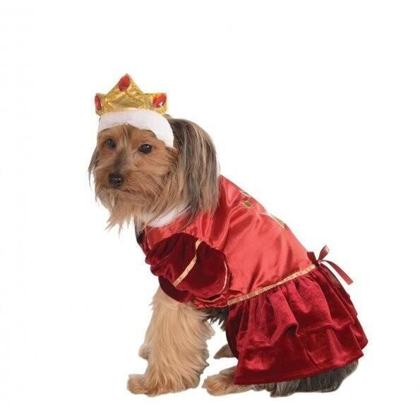 Kanine Queen Pet Costume