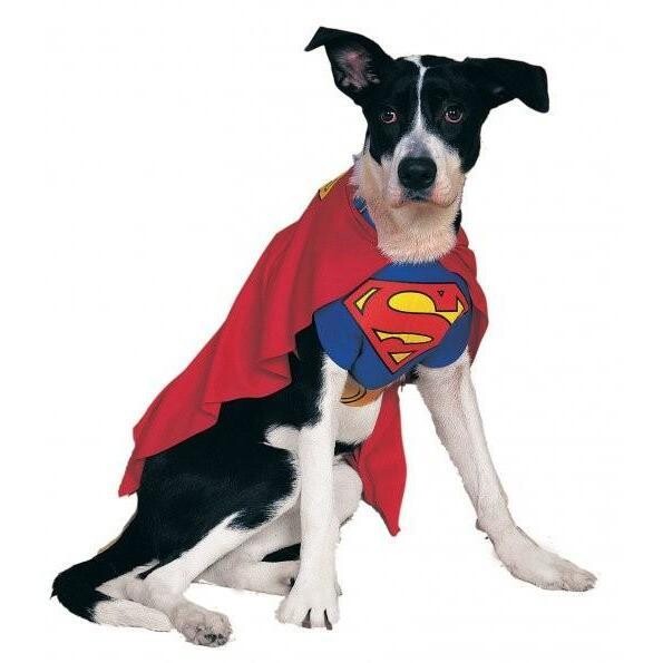 Classic Superman Pet Costume