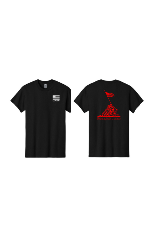 VA Hospital Cost of Freedom