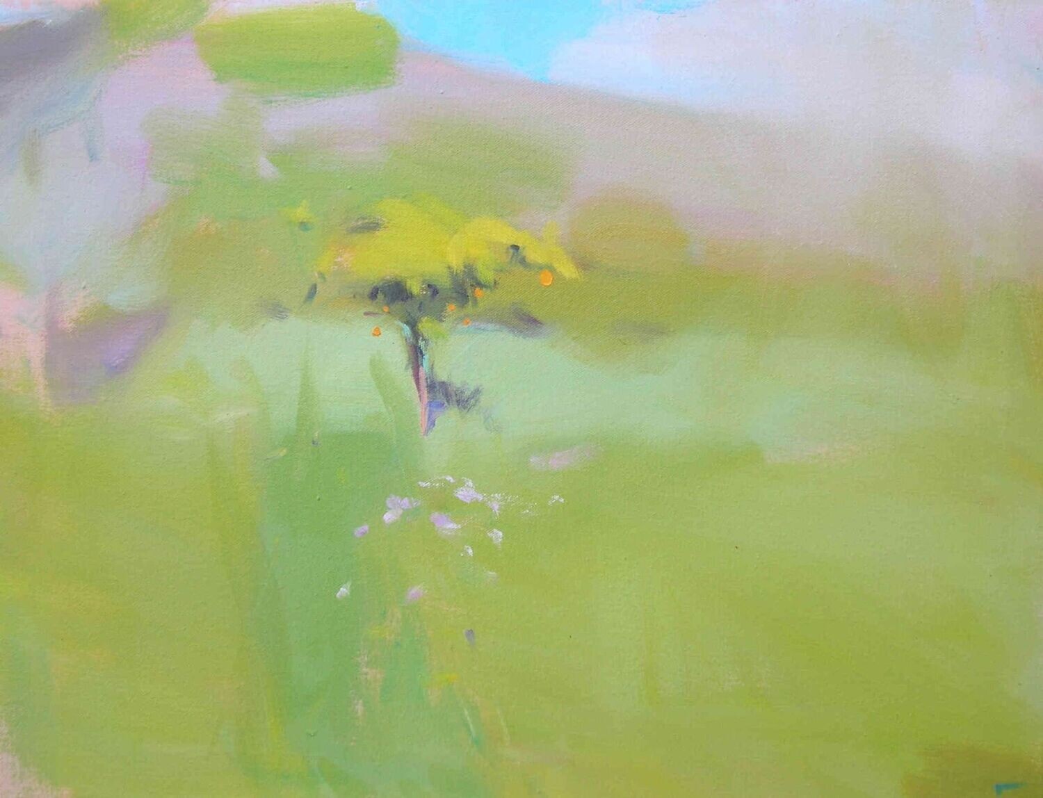 Paisaje con naranjo