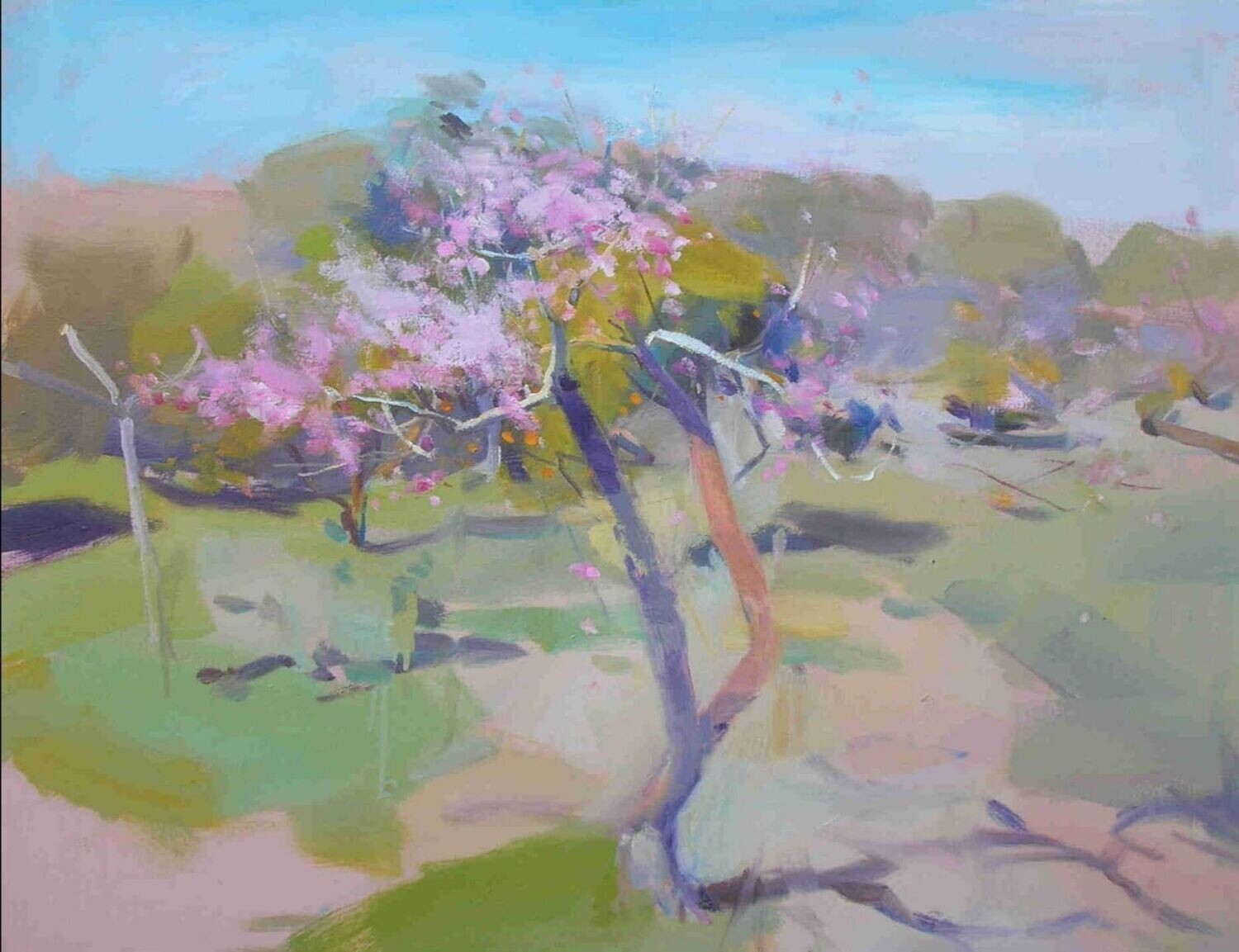 Cerezo en flor