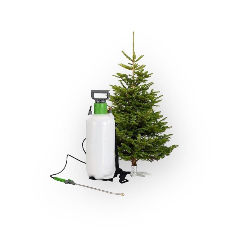 Kerstboom impregneren met certificaat van behandelingen Kerstboom impregneren met certificaat van behandelingen
