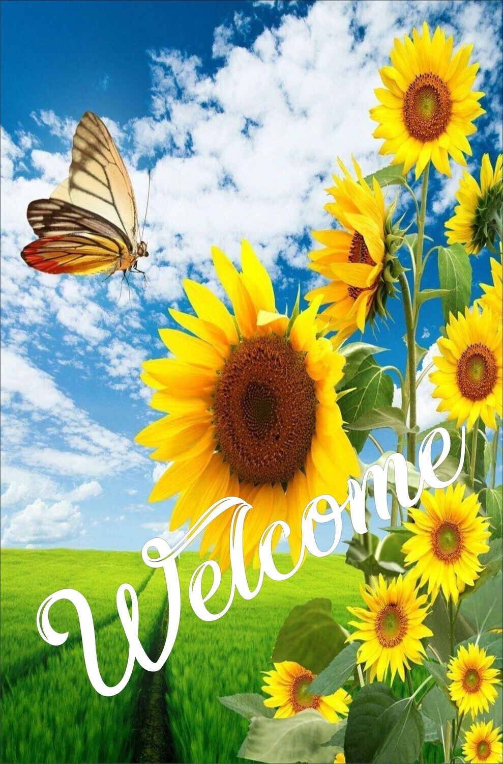 Sunflower Welcome