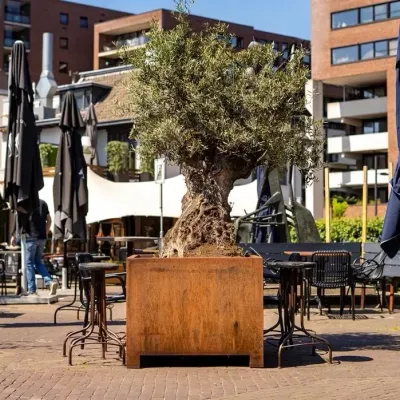 Cortenstaal plantbak 100 cm x 100 cm x 80 cm