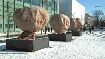 Plantenhoes met rits - winterbescherming