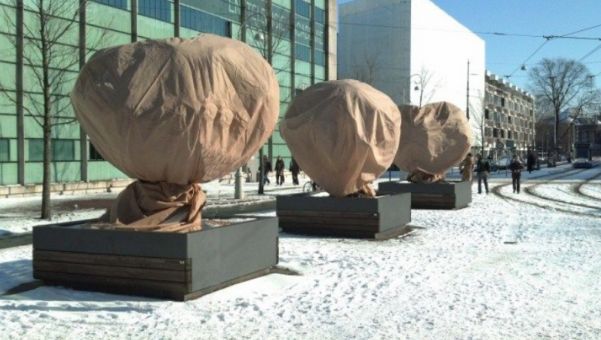 Plantenhoes met rits - winterbescherming