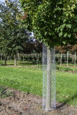 Toebehoren bomen