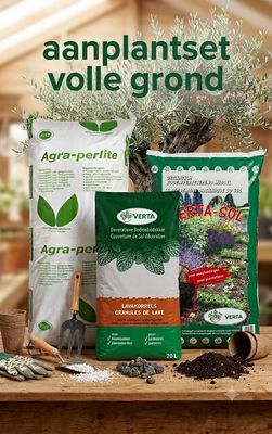 Aanplantset volle grond