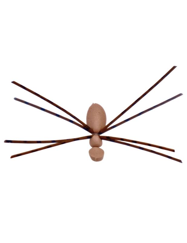 DISTRIBUTOR Loose Symply Spyderz