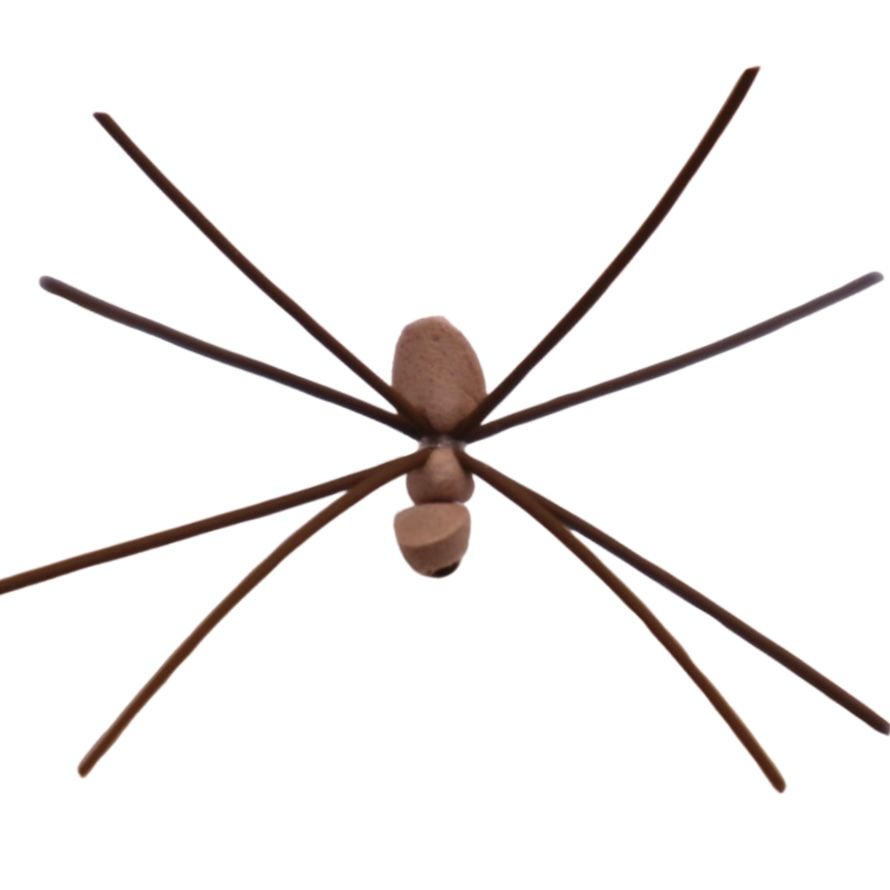 WHOLESALE Loose Symply Spyderz