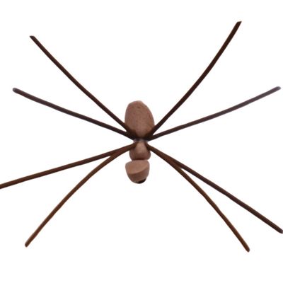 WHOLESALE Loose Symply Spyderz