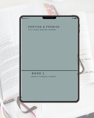 Portion & Promise Book 1 Daily Bible Reading Journal DIGITAL COPY