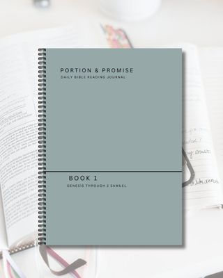 Portion & Promise Book 1 Daily Bible Reading Journal PHYSICAL Copy